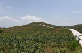 标题：岳池万亩藤椒产业基地
浏览次数：2228
发表时间：2018-01-29